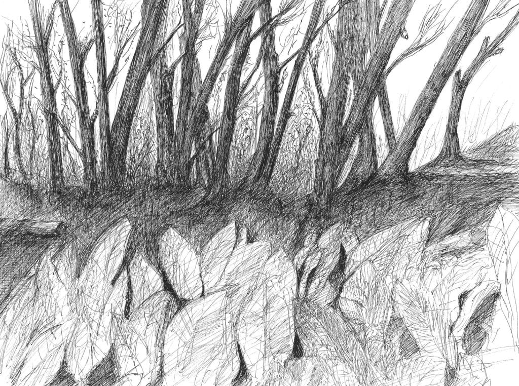 Upper Slough Trail