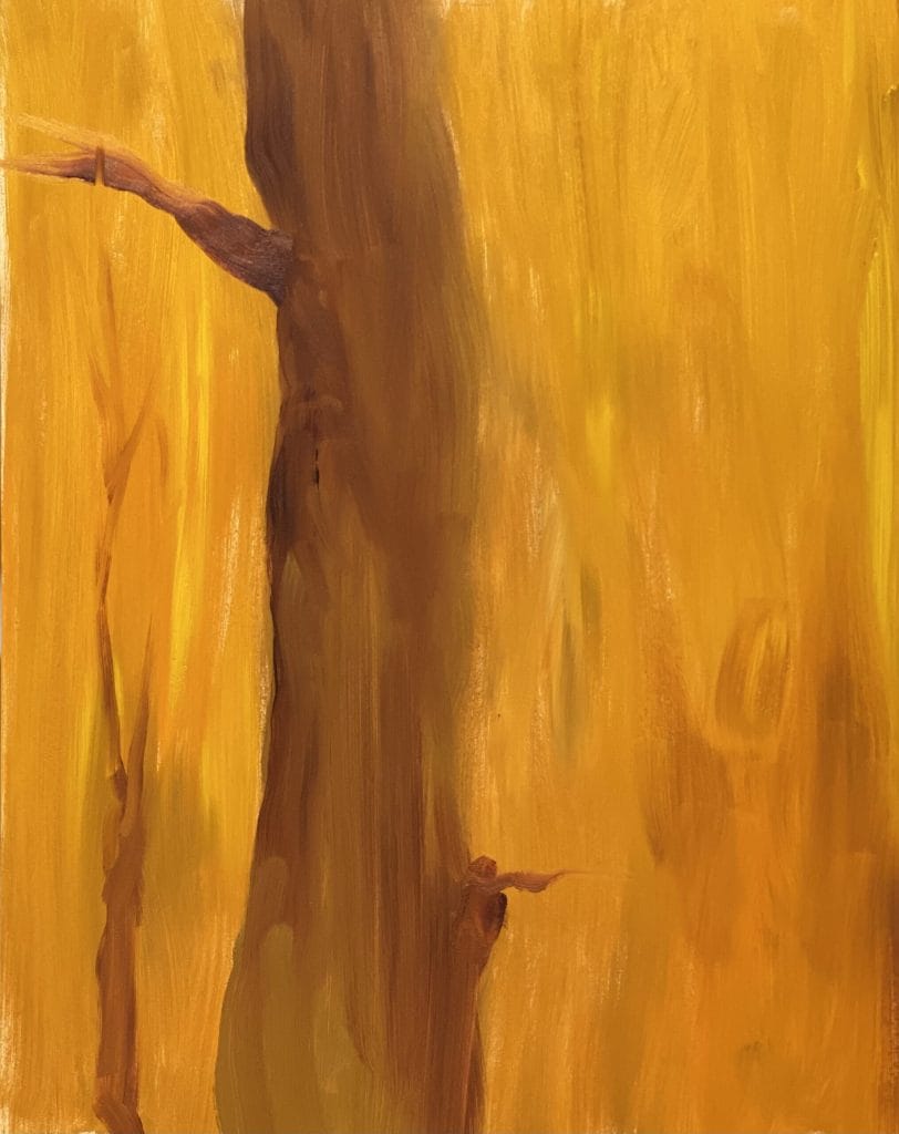 Autumn Walk