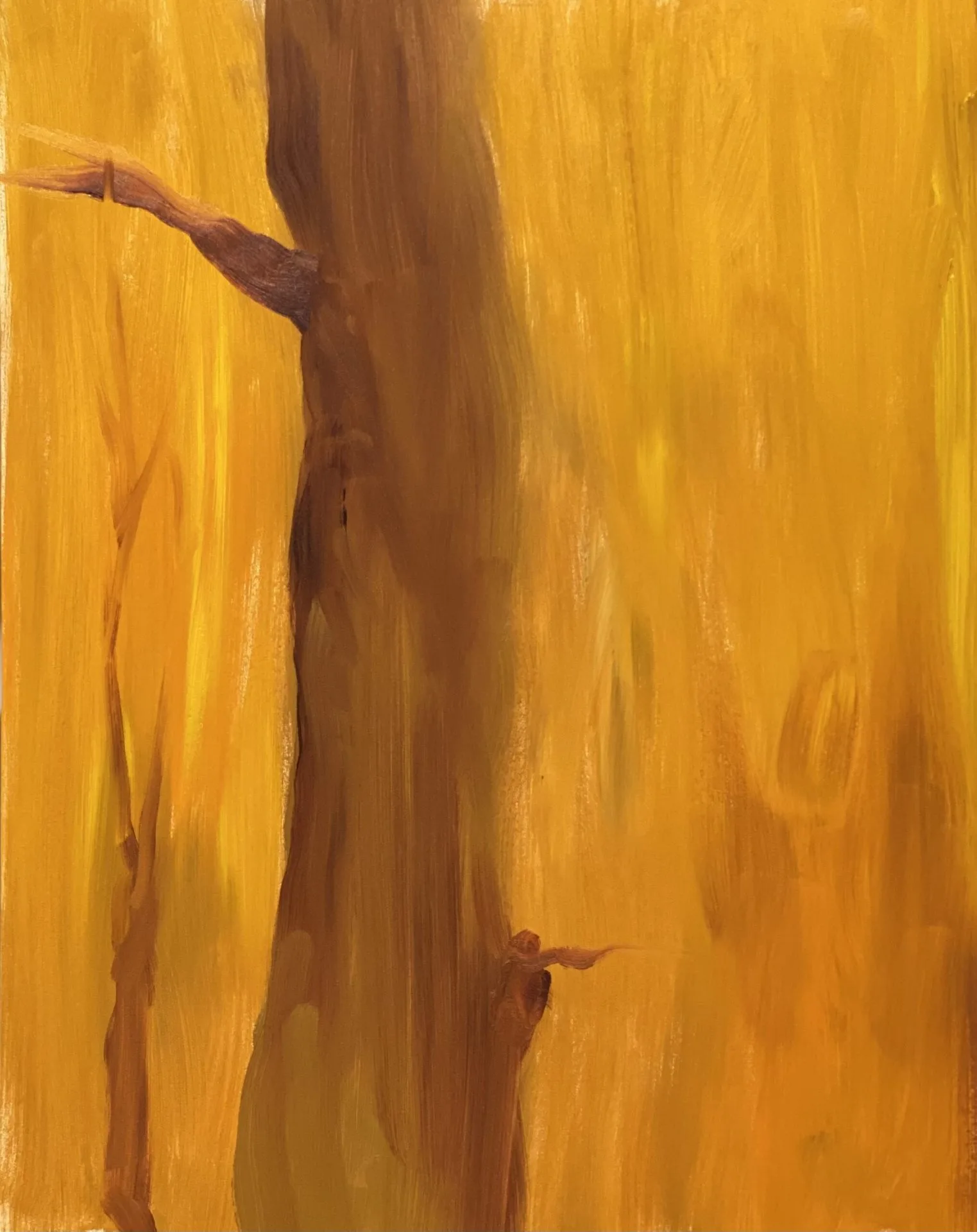 Autumn Walk