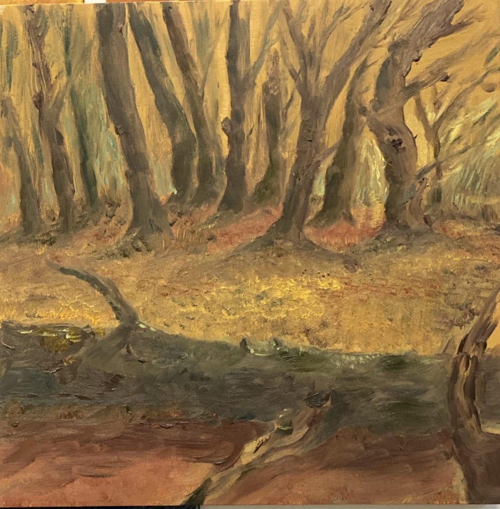 Into the Woods at Dusk