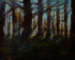 Into the Woods at Dawn (2)
